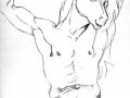 cs-horse-cfm-sketch-sm.jpg